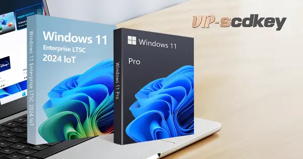 windows 11 ltst-vip-scdkeyss